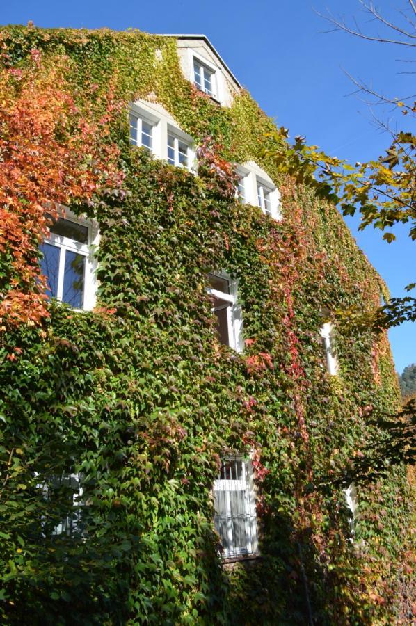 Burg Schoena Schmilka Exterior photo